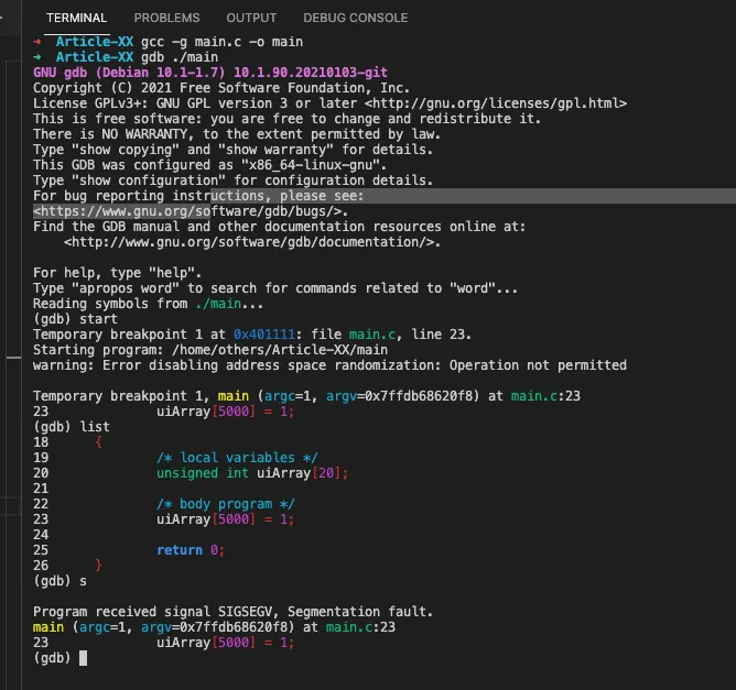 segmentation fault memory out of bounds