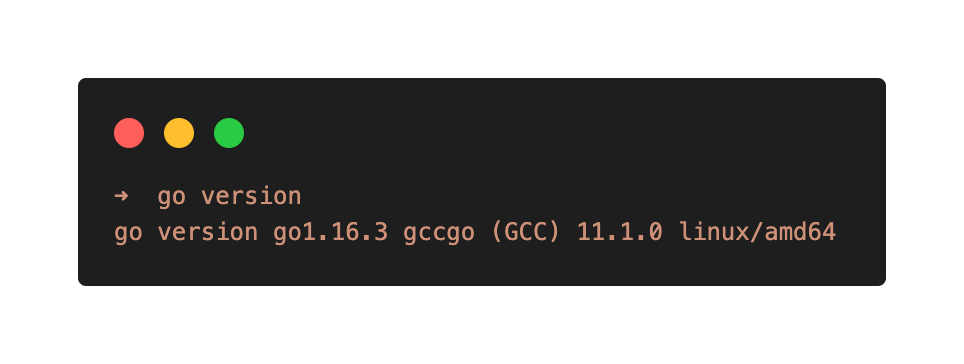 golang version on terminal